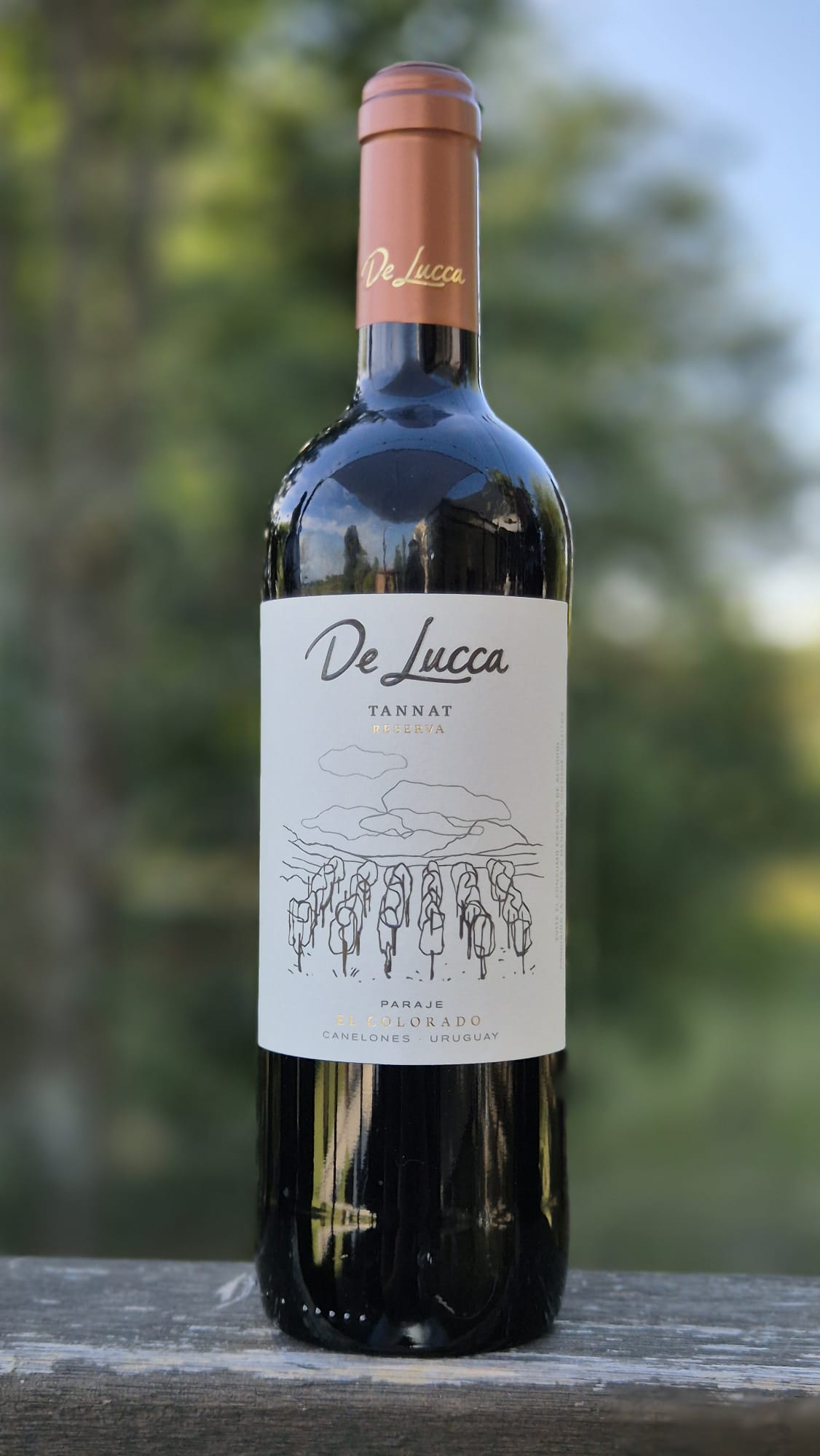 Tannat Reserva