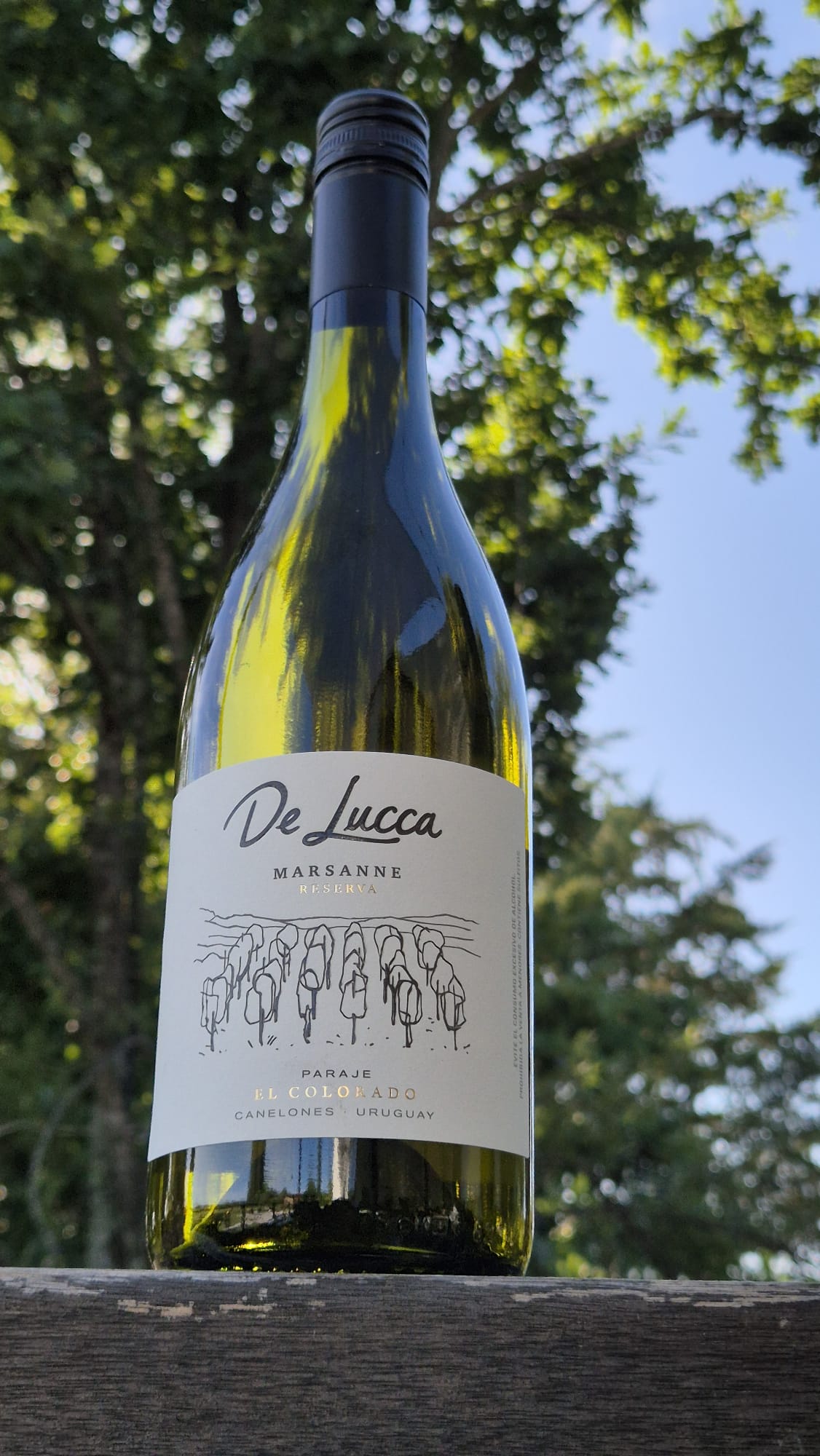 Marsanne