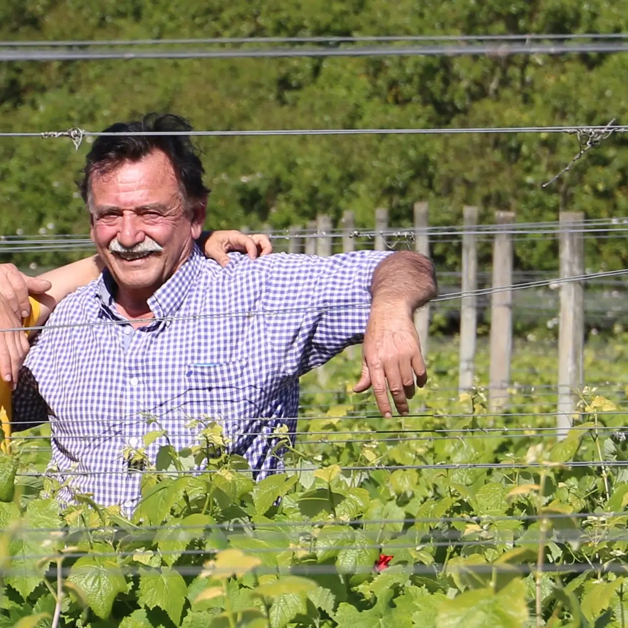 Reinaldo De Lucca - Director y Enólogo