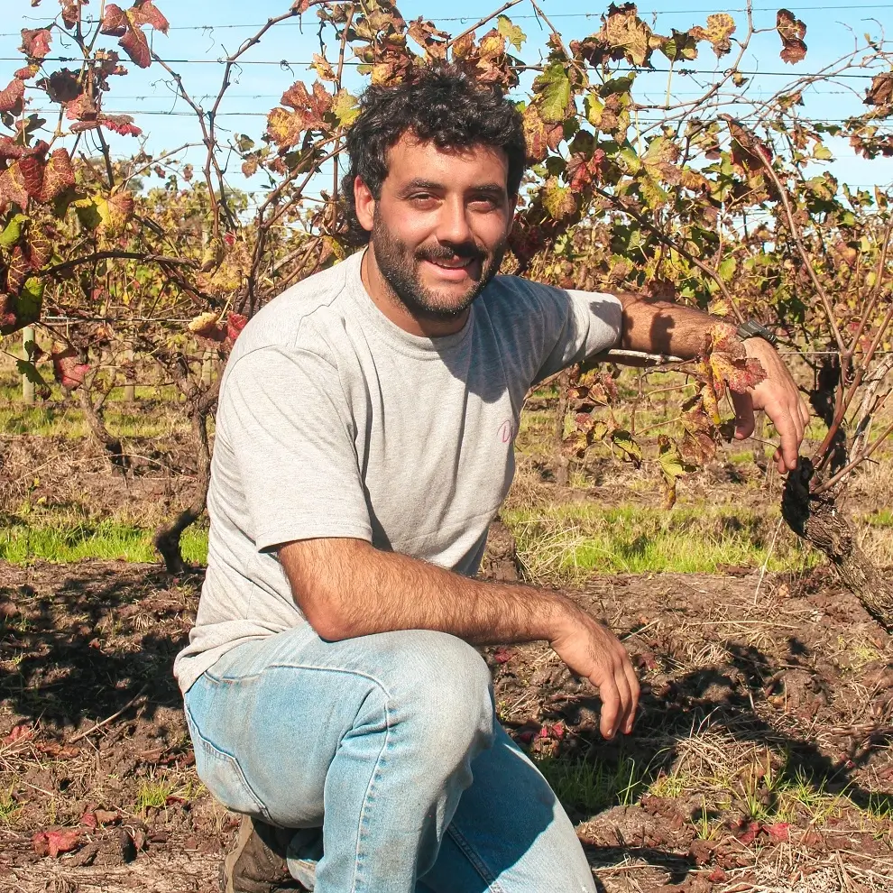 Stefano De Lucca - Producción y Viñedos