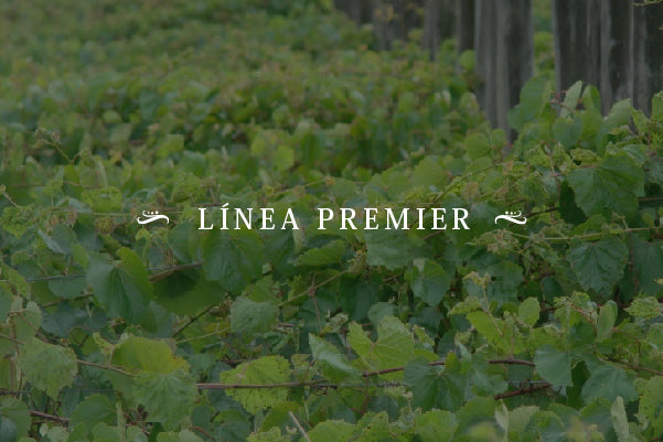 Línea Premier