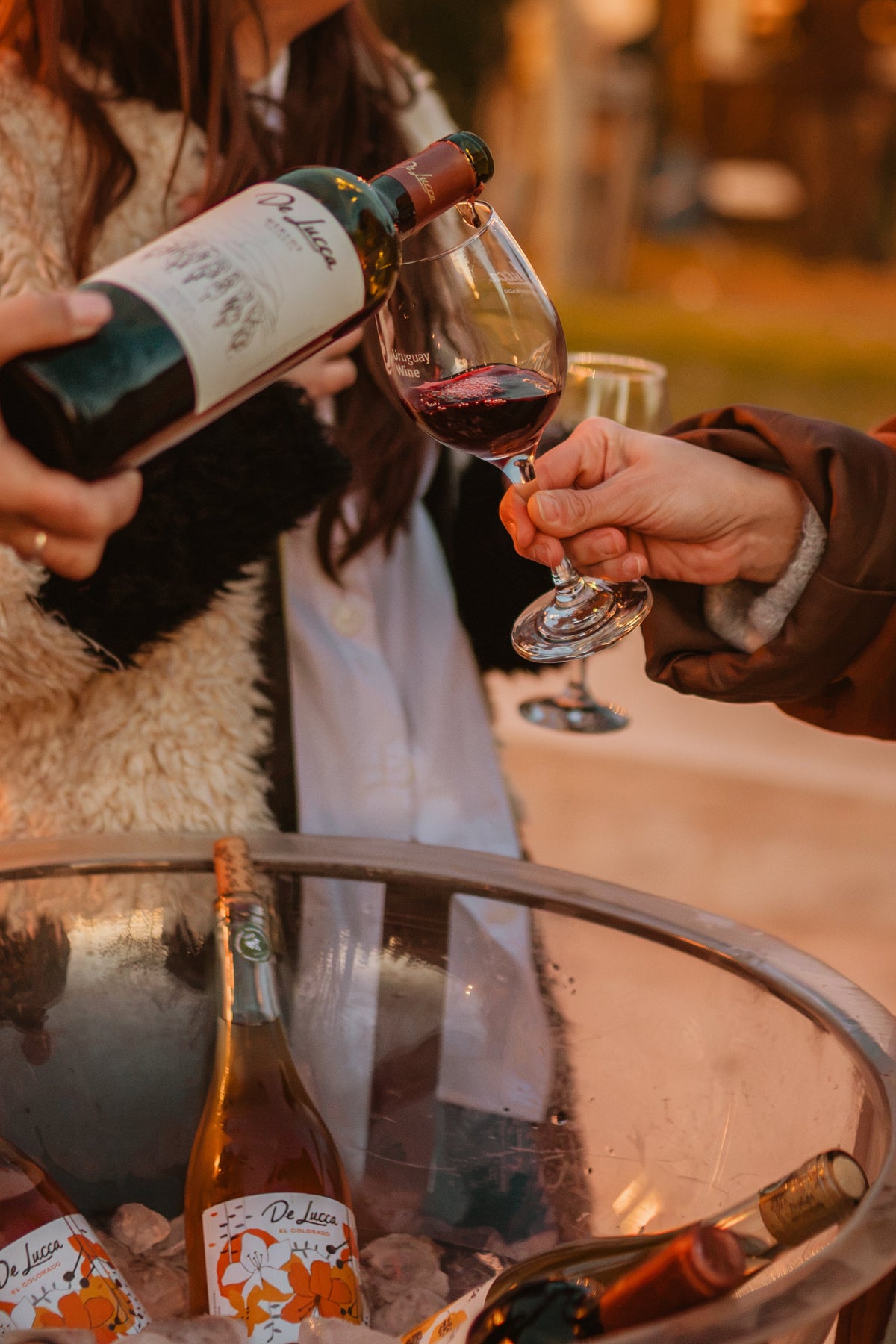 Nuestros vinos