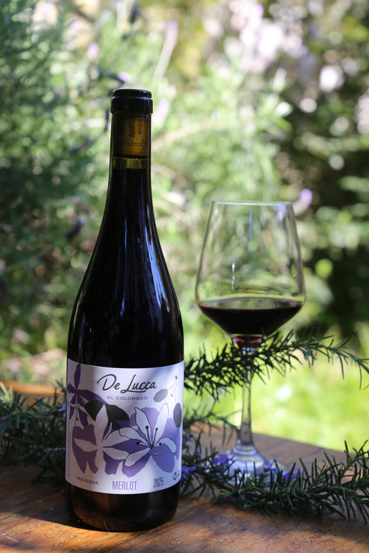 Merlot Indígena