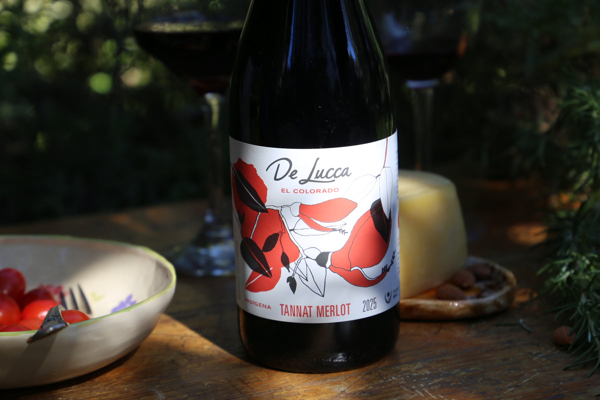 Tannat - Indigenous Merlot