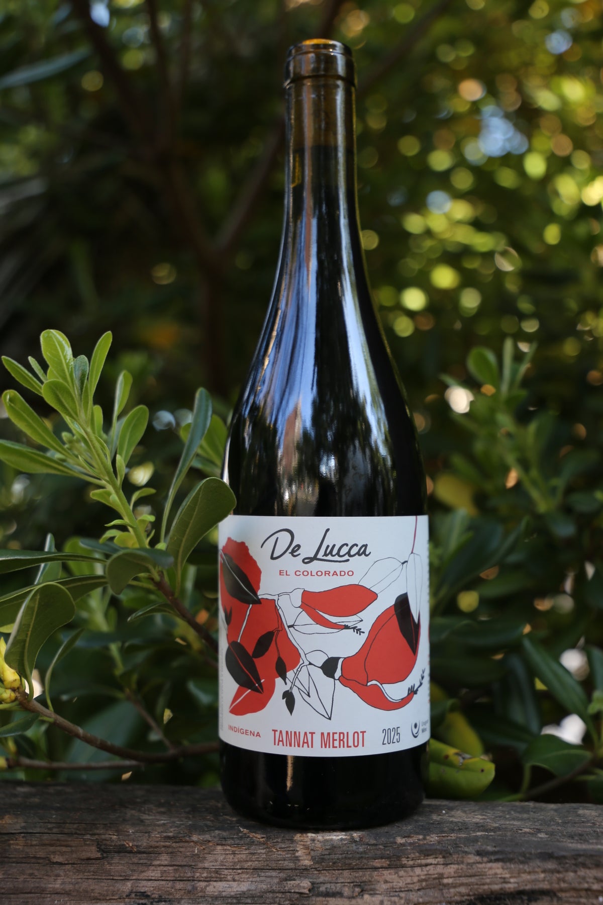 Tannat - Indigenous Merlot