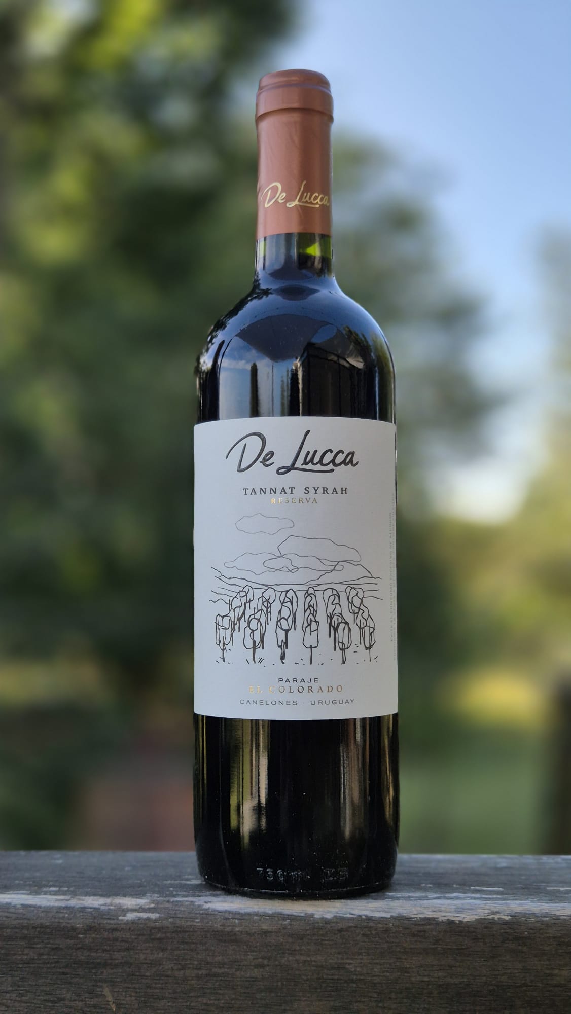Tannat Syrah Blend