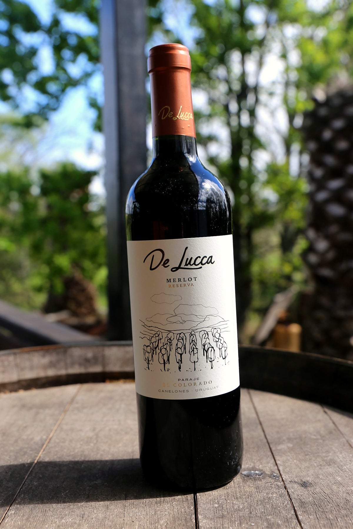 Merlot Reserva