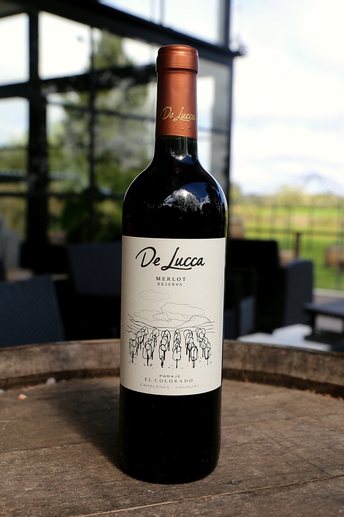 Merlot Reserva